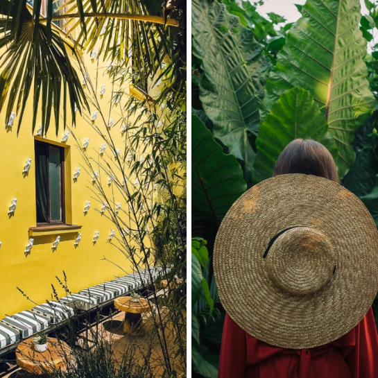 restoran ljubica dorcol beograd