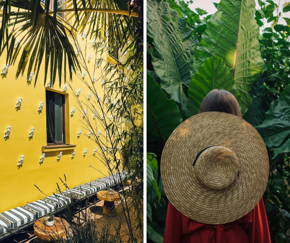 restoran ljubica dorcol beograd