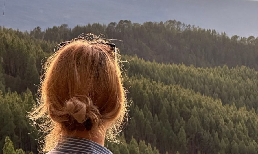 muzicki festival na divcibarama, van grada