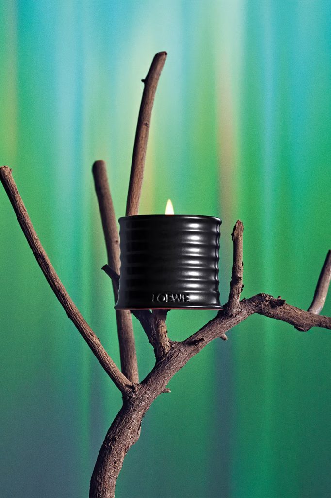 LOEWE Palo Santo