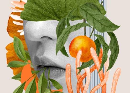 izlozba galerija borgeze beograd