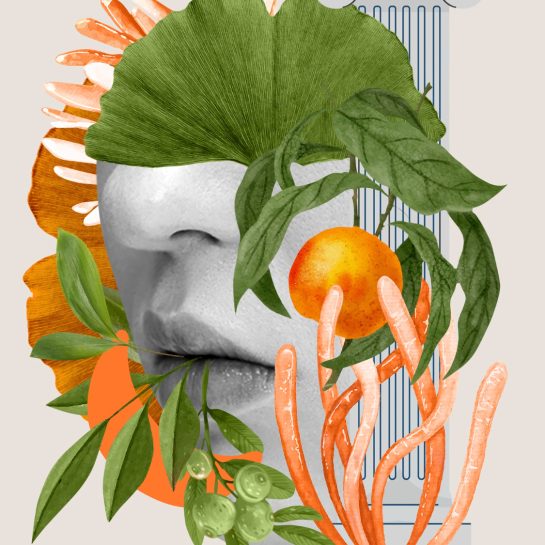 izlozba galerija borgeze beograd