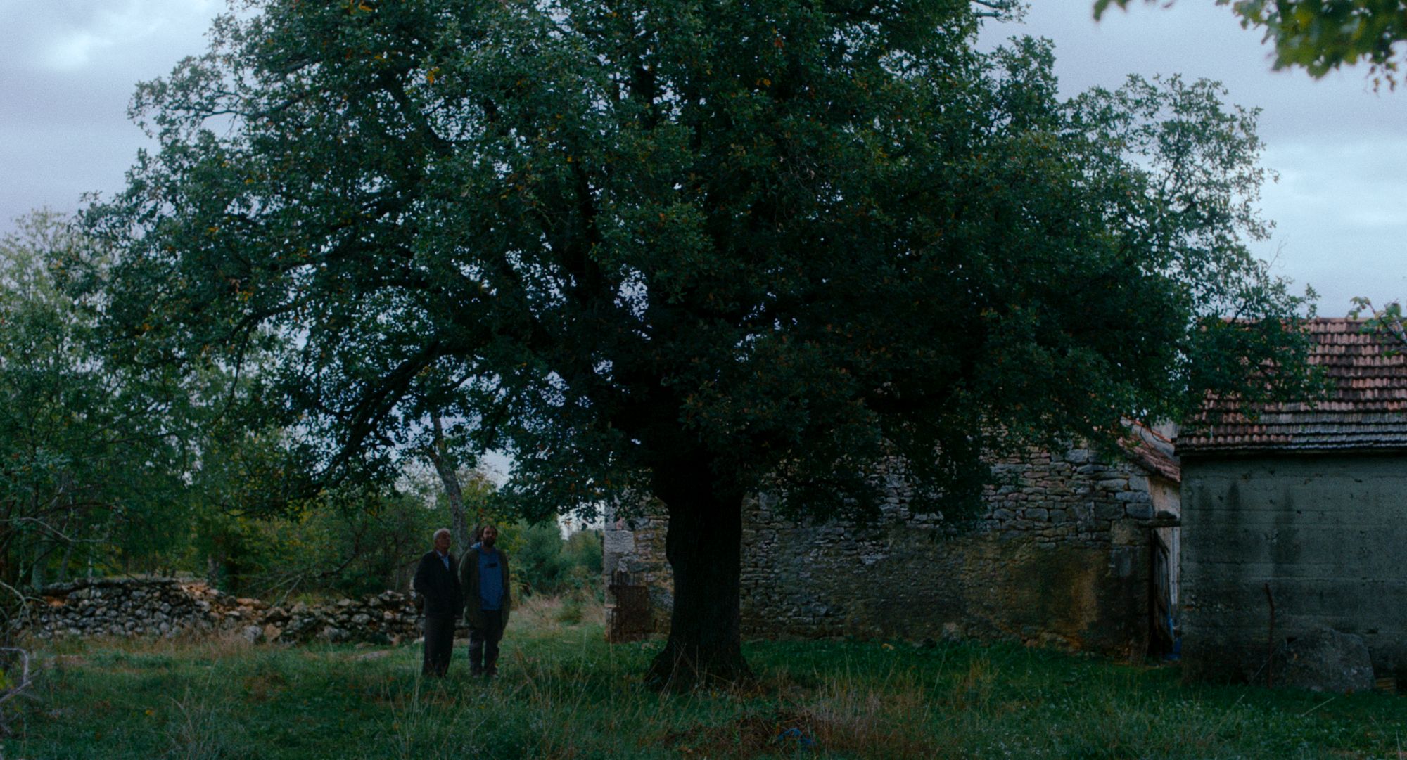 Kako je ovde tako zeleno