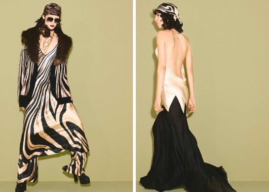 Roberto Cavalli Pre-Fall 2026