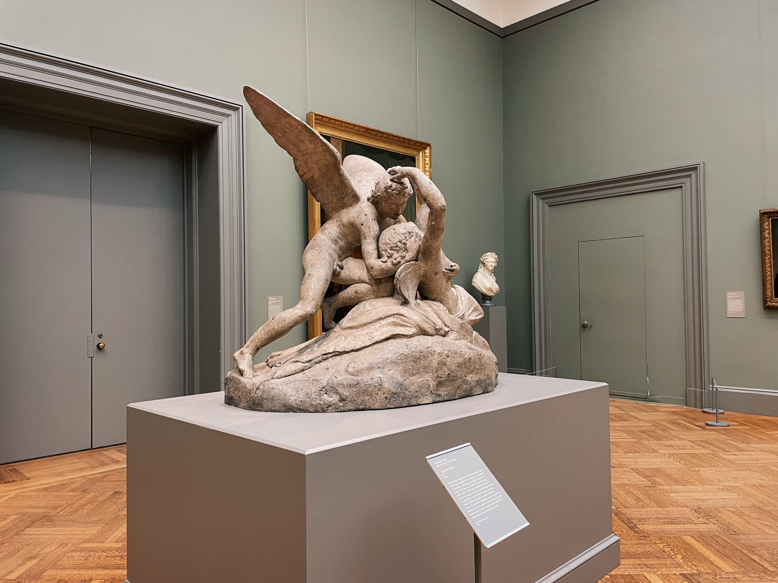 bird theory, teorija ptica