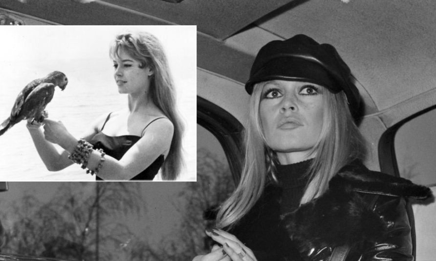Brigitte Bardot