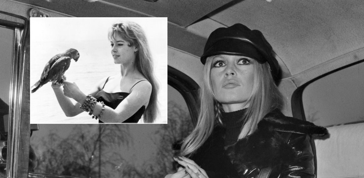 Brigitte Bardot