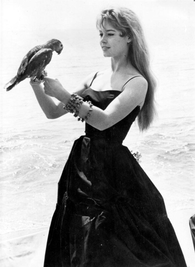 Brigitte Bardot