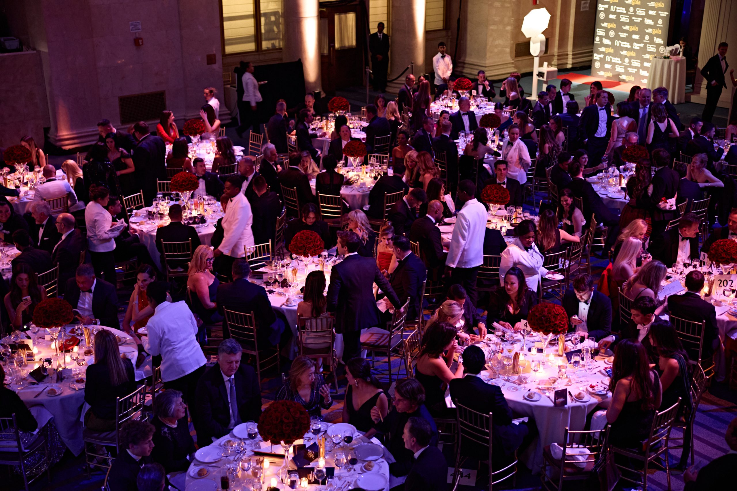 Srpsko filantropsko udruženje